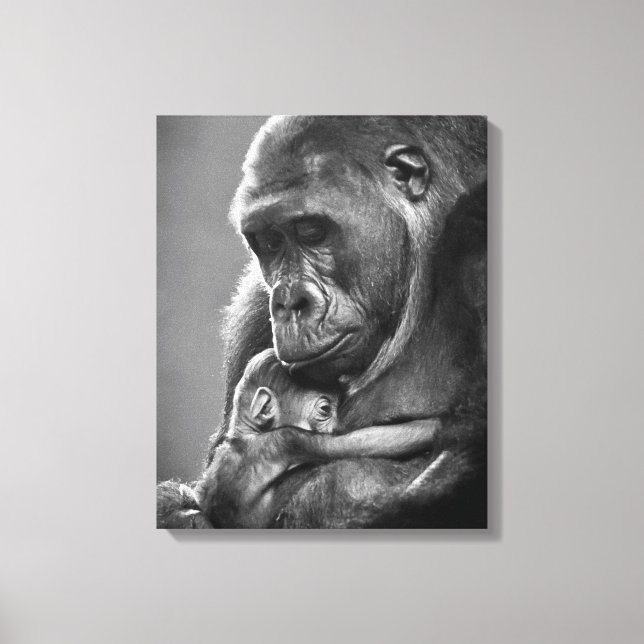 New Mother Gorilla Canvas Print (Front)
