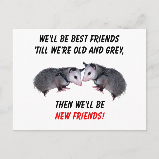 New Old Friends Postcard (Front)