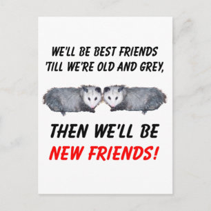 New Old Friends with Possums Postcard