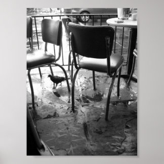 New Orleans after the Rain Poster