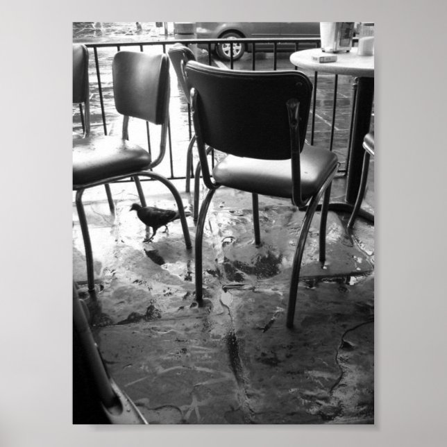 New Orleans after the Rain Poster (Front)