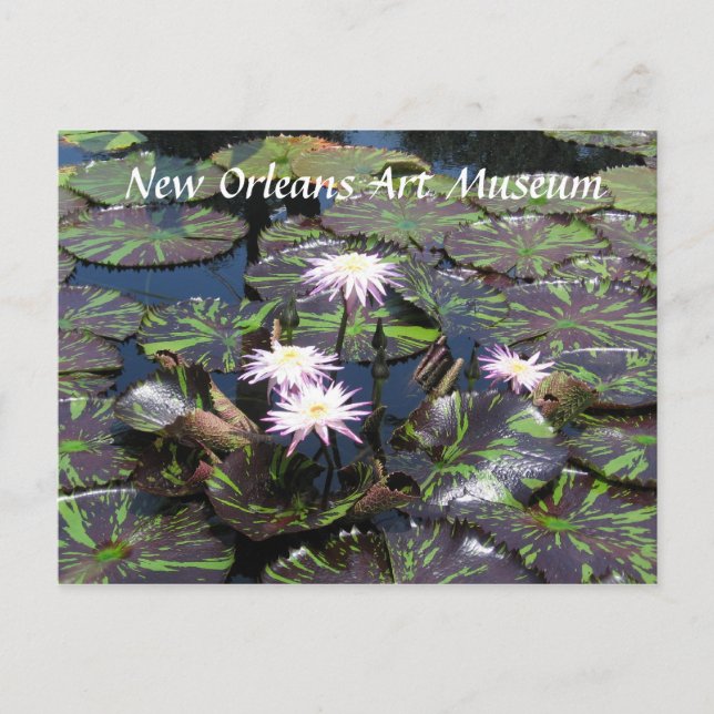 New Orleans Art Museum Postcard (Front)