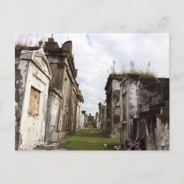 New Orleans, LA Cemetery Postcard (Front)
