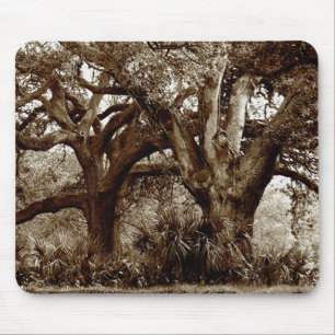 New Orleans Live Oak Trees Mouse Mat