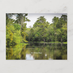 New Orleans, Louisiana, bayou, Postcard