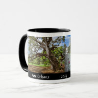 New Orleans, Louisiana, Live Oak & Cemetery