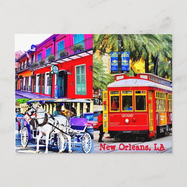 New Orleans, Louisiana Postcard (Front)