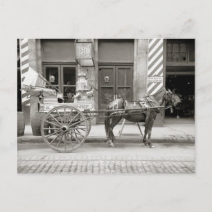 New Orleans Milk Cart, 1910 Postcard