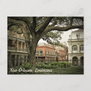 New Orleans Postcard
