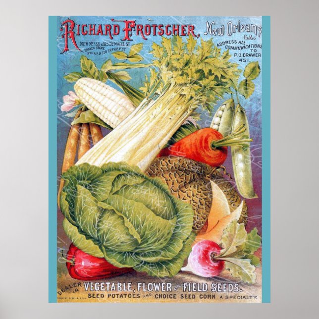 New Orleans Vintage Seed Store Poster (Front)