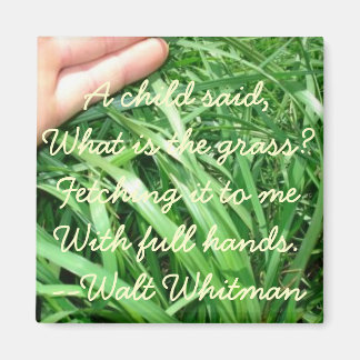 New Parent Magnet Set 5 of 5 (Improved)