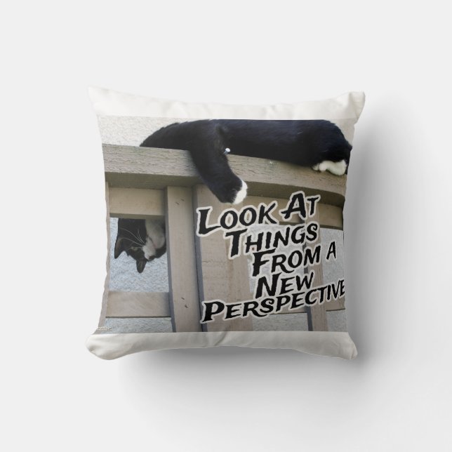 New Perspective Encouragement Cat Photo Art Cushion (Front)