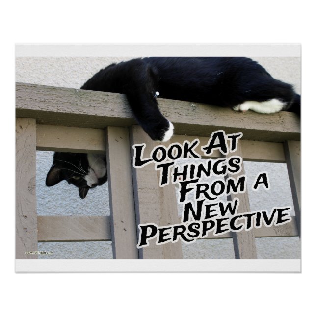 New Perspective Motivating Cat Photo Art Poster (Front)