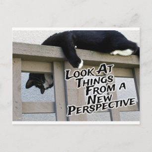 New Perspective Postcard