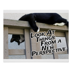 New Perspective Poster