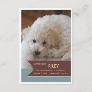 New Pet 2 Photo Brown Banner Photo Announcement