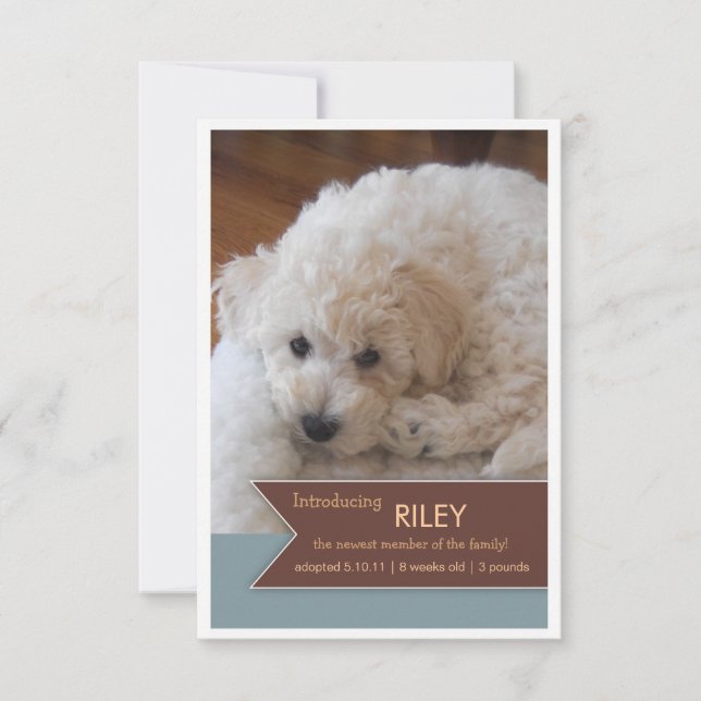 New Pet 2 Photo Brown Banner Photo Announcement (Front)