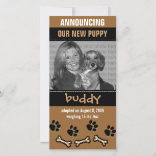 New Pet Adoption Announcement