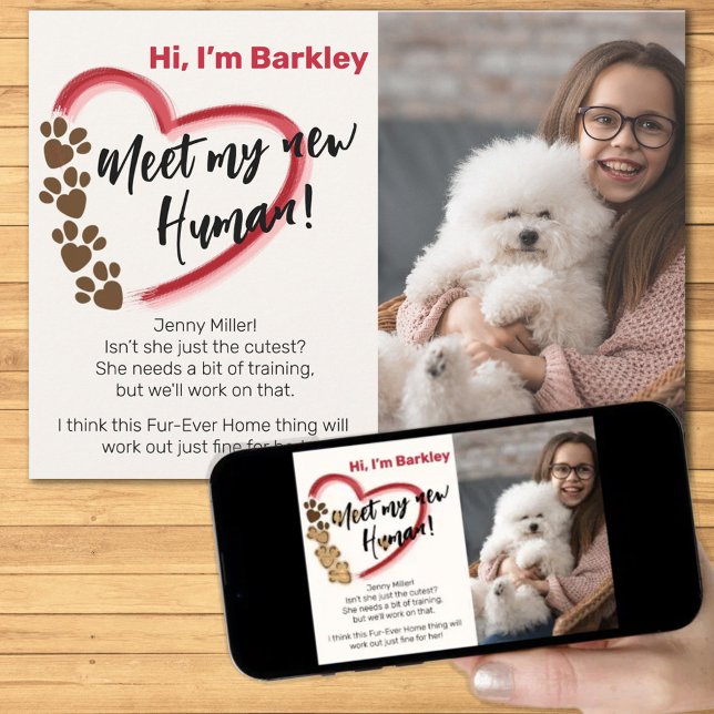 New Pet Adoption Announcement (Creator Uploaded)