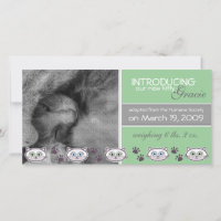 New Pet Adoption Announcement