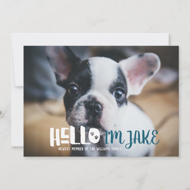 New Pet Adoption Announcement | Hello (Front)