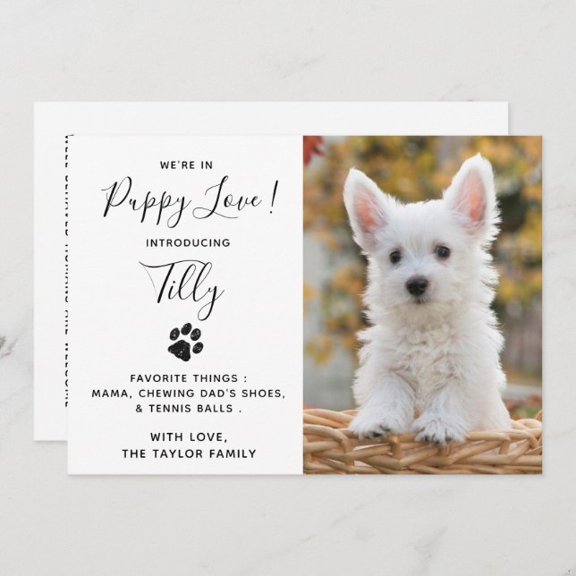 New Pet Dog Puppy Shower Party Invitation (Front/Back)