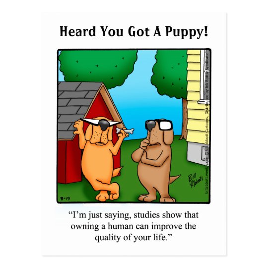 New Pet Humor Postcard Zazzle.co.uk