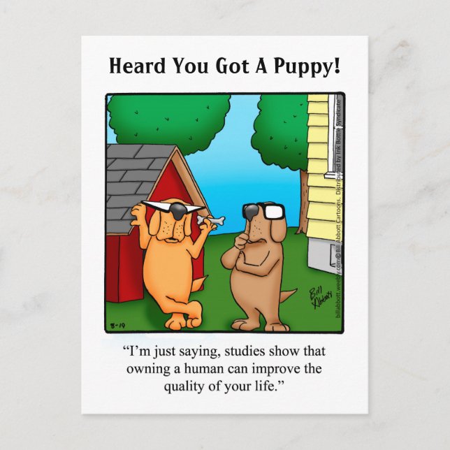 New Pet Humour Postcard (Front)