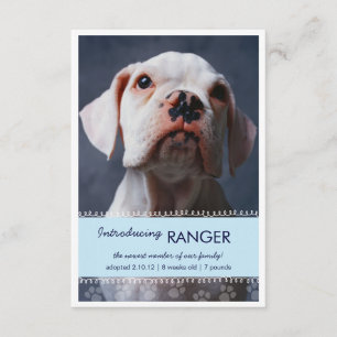 New Pet Male Blue Paw Prints for Boy Announcement