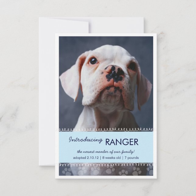 New Pet Male Blue Paw Prints for Boy Announcement (Front)