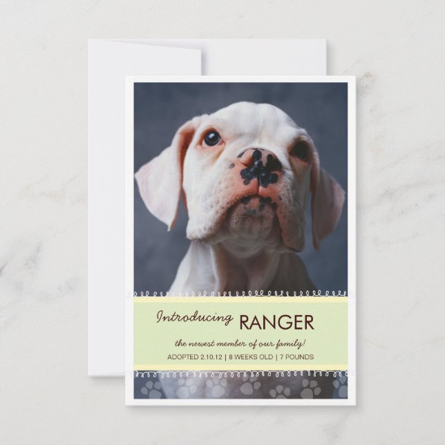 New Pet Male Green Banner Photo Announcement (Front)