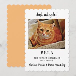 New Pet Photo Adoption Announcement Flat Card
