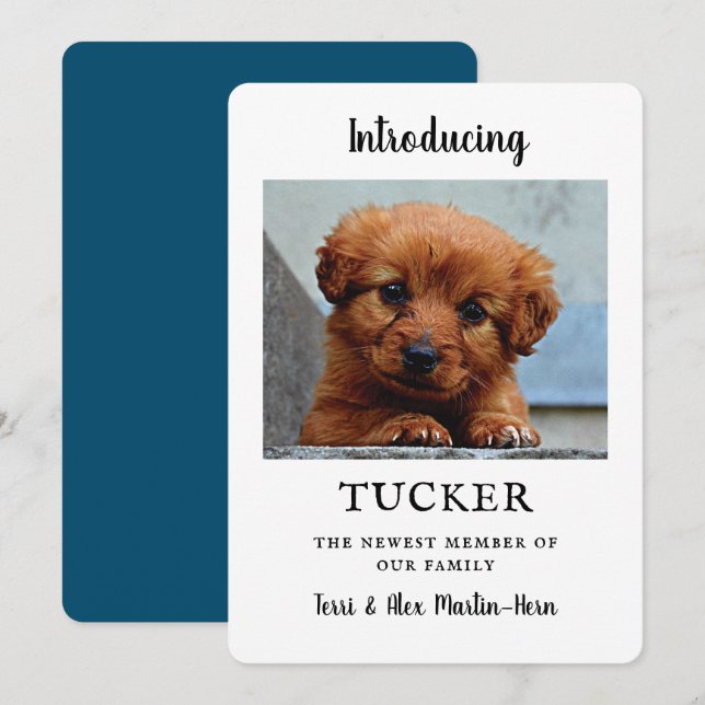 New Pet Photo Announcement Flat Card (Front/Back)