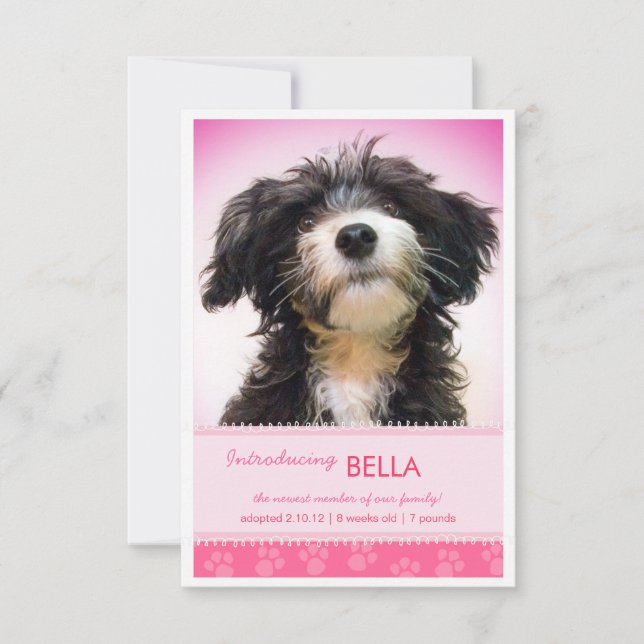 New Pet Pink Paw Prints for Girl Announcement (Front)