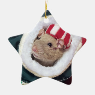 NEW!  Pet Rat Coco Ornament