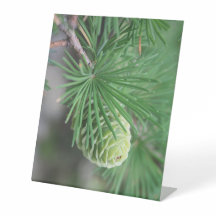 New Pine Cone Standing Frame