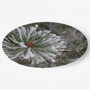 New Pine Cones Paper Plate