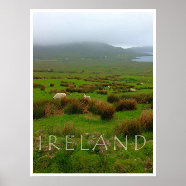 NEW PRINT FROM IRELAND GREEN AND MORE GREEN! (Front)