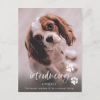 New Puppy Announcement, Adult Dog Adoption