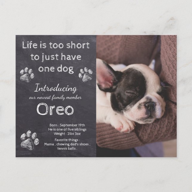 New Puppy- Dog Photo Chalkboard Puppy Announcement Postcard (Front)