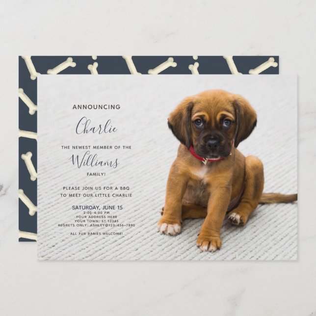 New Puppy Kitten Adoption Announcement Photo (Front/Back)