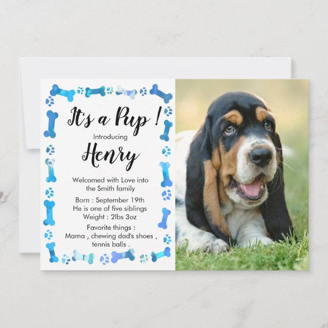 New Puppy- New Pet - Blue Boy Dog Birthday Puppy Announcement (Front)