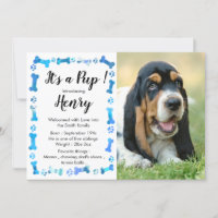 New Puppy- New Pet - Blue Boy Dog Birthday Puppy
