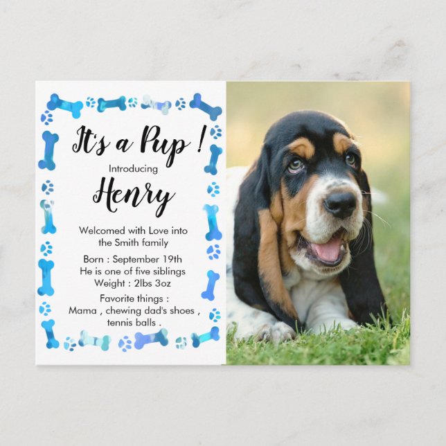 New Puppy - New Pet - Blue Boy Dog Birthday Puppy Announcement Postcard (Front)