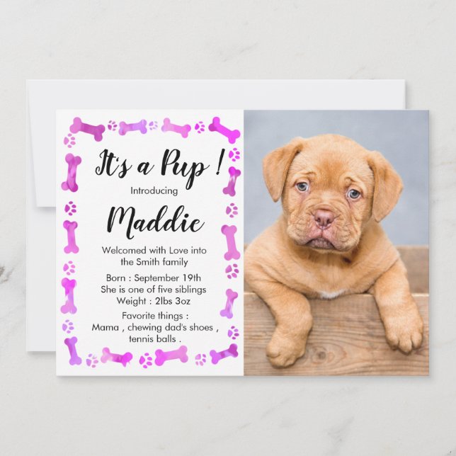 New Puppy- New Pet - Pink Girl Dog Birthday Puppy Invitation (Front)