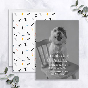New Puppy Photo Adoption Announcement