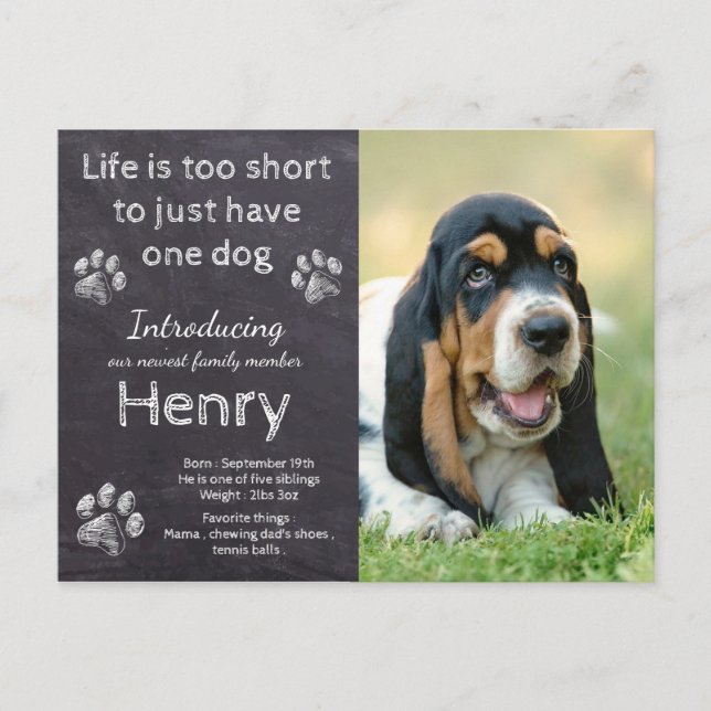 New Puppy - Rustic Pet Dog Photo Chalkboard Puppy Announcement Postcard (Front)