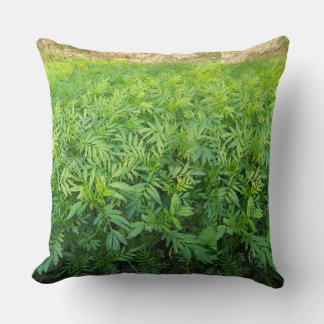 New purdect  cushion