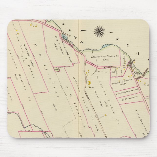 New Rochelle ward 3, New York Mouse Mat (Front)