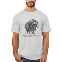 New Saint Thomas Institute